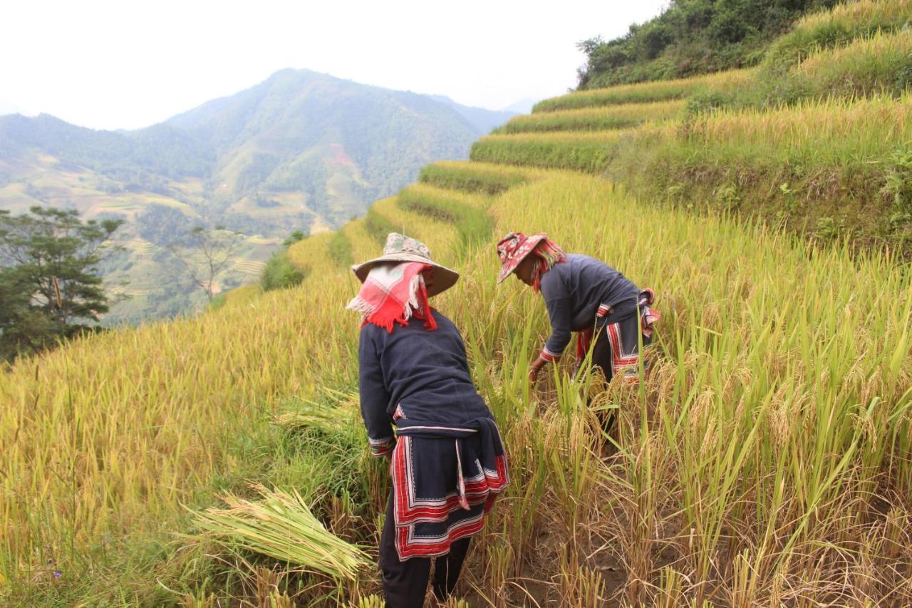 Hoang Su Phi Lodge Ха Жианг Екстериор снимка